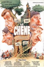 Le chêne d’Allouville