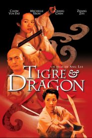 Tigre et Dragon