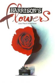 Harrison’s Flowers