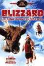 Blizzard, le renne magique du Père Noël