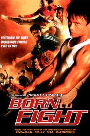 Born to Fight