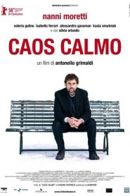 Caos Calmo