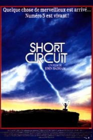 Short Circuit