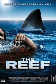 The Reef