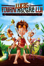 Lucas, fourmi malgré lui