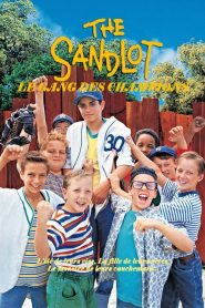 Le Gang des champions