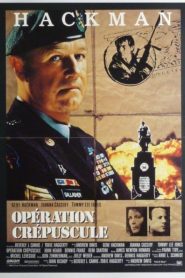 Opération crépuscule