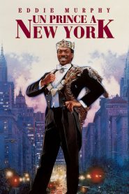 Un Prince à New York