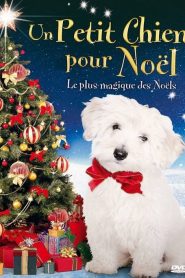 Un Petit chien pour Noël