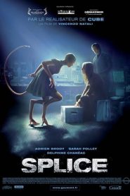 Splice