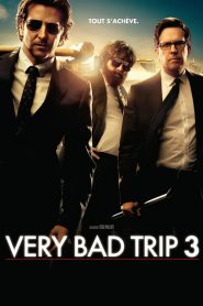 Very bad trip 3