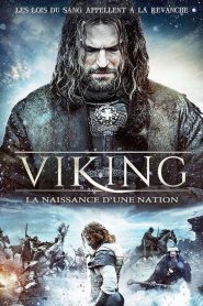 Viking, la naissance d’une nation