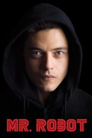 Mr. Robot