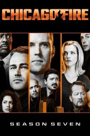 Chicago Fire: Saison 7