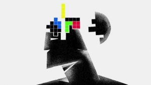 Le cerveau, en bref: Saison 1 Episode 2
