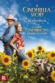 Comme Cendrillon 6 : Graine De Star