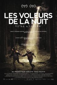 Les voleurs de la nuit